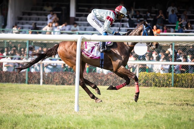 grand national