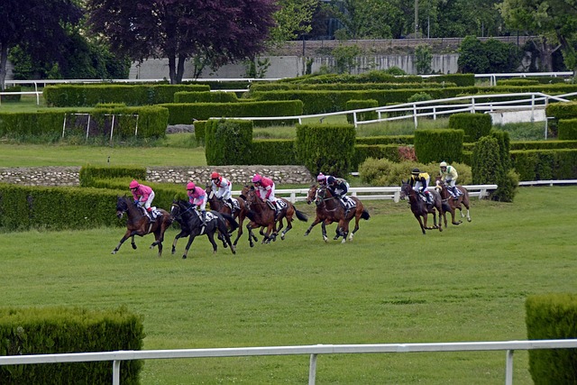 cheltenham festival 2025