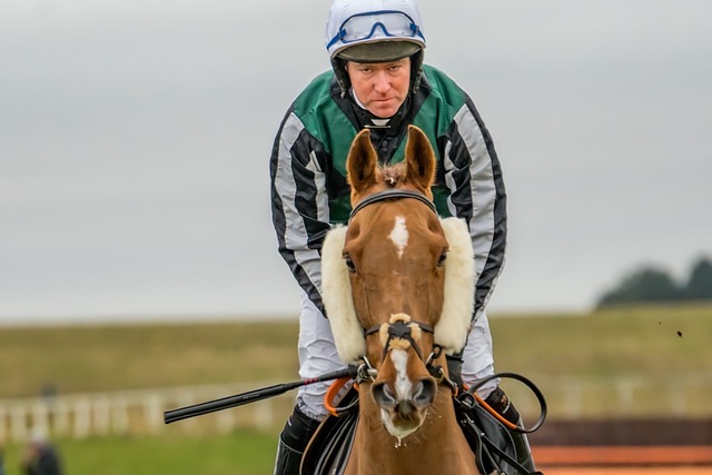 aintree - grand national