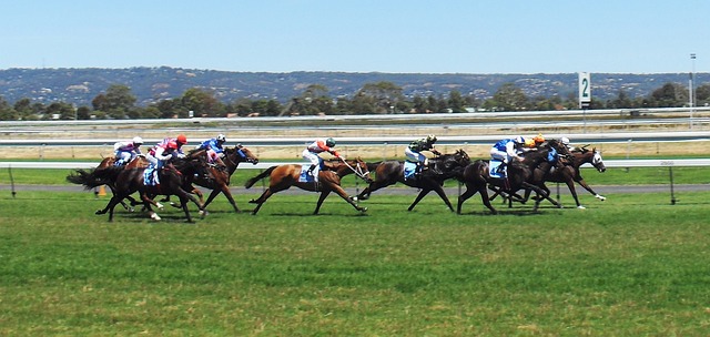 newmarket