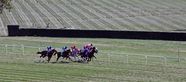 welsh grand national